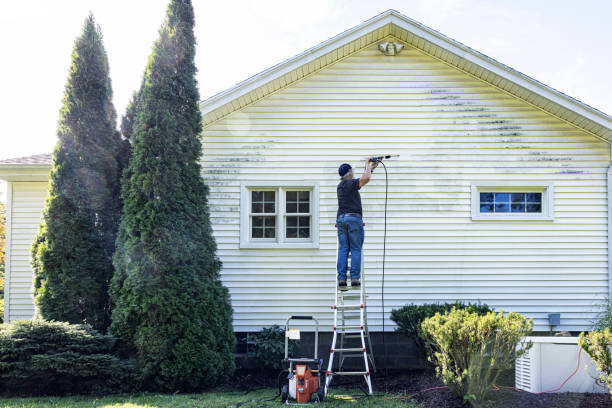 Best Eco-Friendly Pressure Washing in Akron, NY